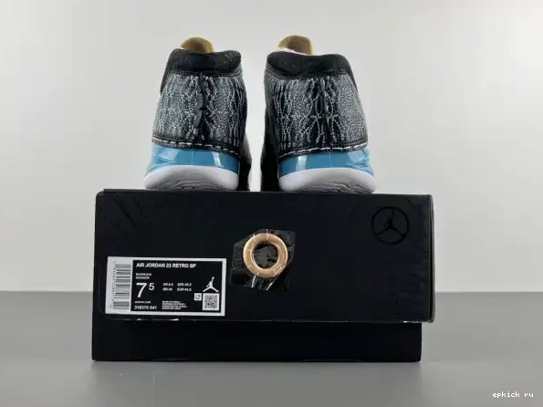 Rep 23 UNC Jordan 318376-041 0220