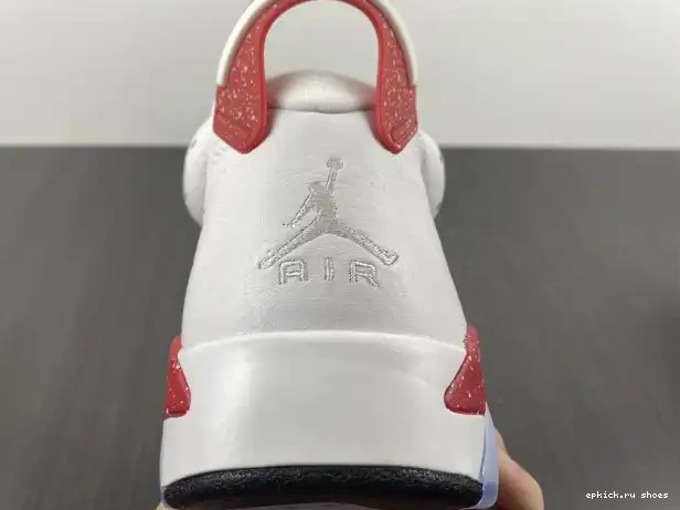 Rep 6 Hare CT8529-162 Jordan Retro 0216