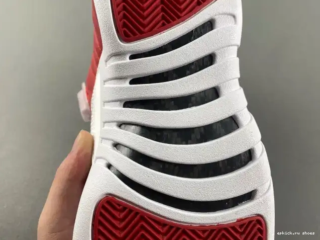 Rep Jordan 12 130690-600 Alternate Air 0223